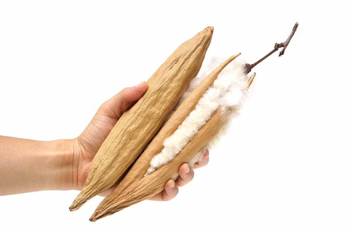 Benefits of ilavam Panju mattress Amouve