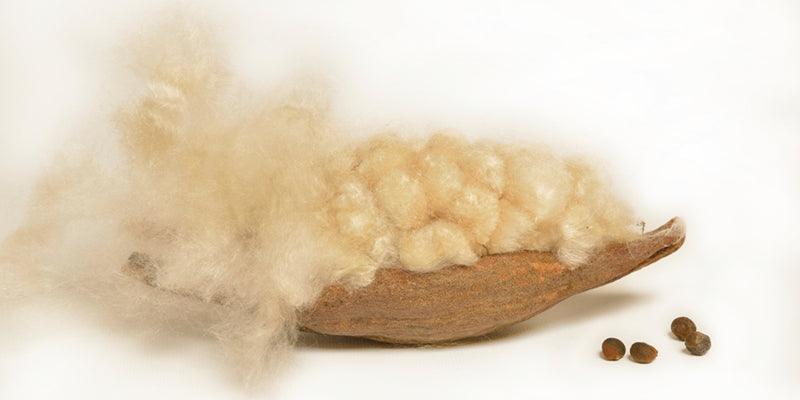 Why you should choose an organic pillow