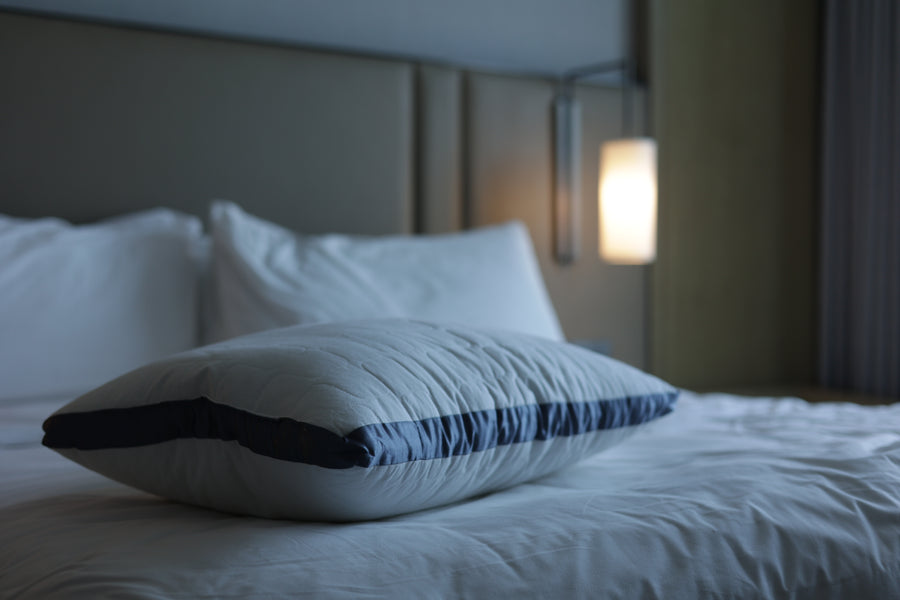 Neembus Pillow