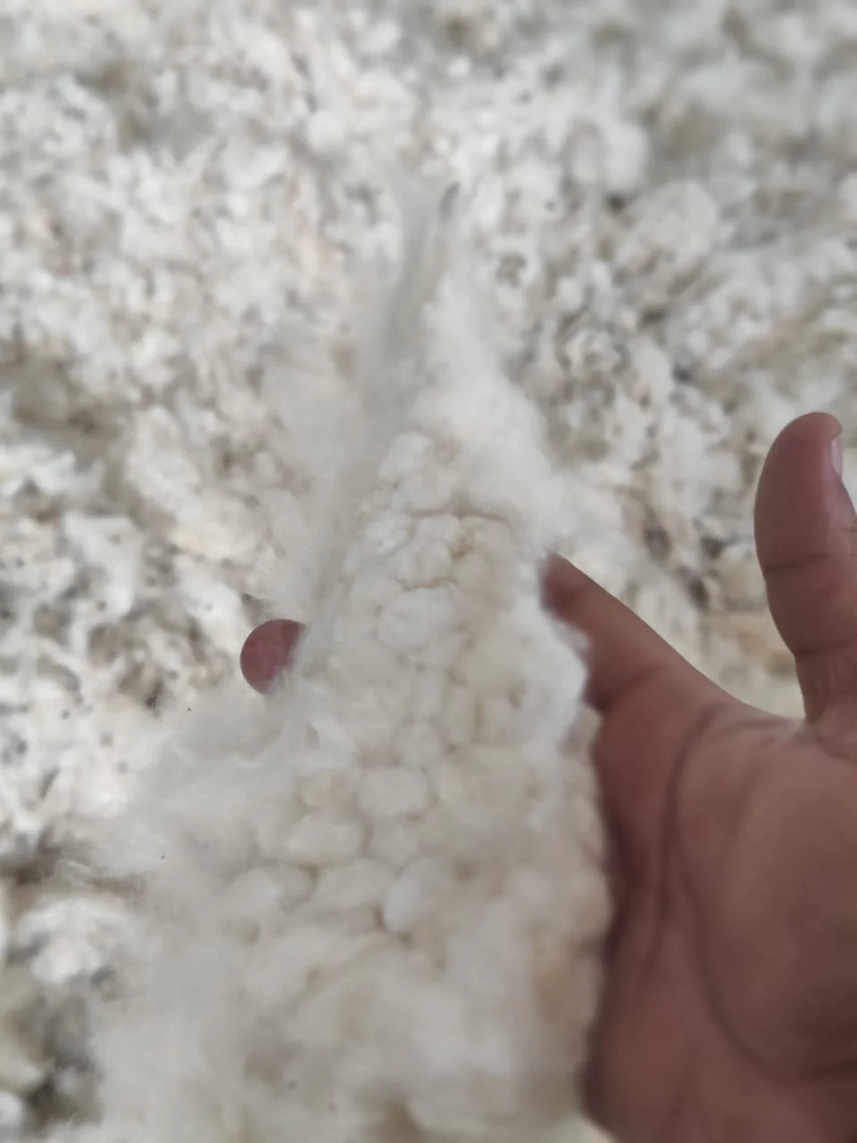 A mattress made for the ones who ask what's inside, and why.