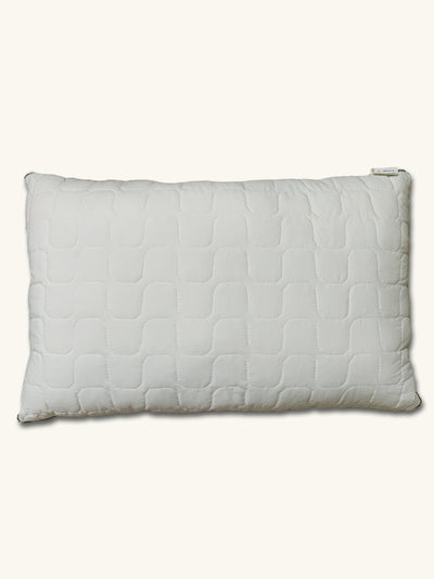 Amouve Neem Infused Pillow